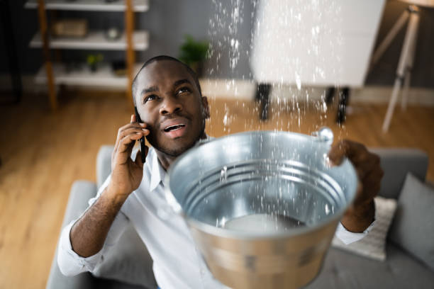 Best Water damage contractors near me  in Ball Pond, CT