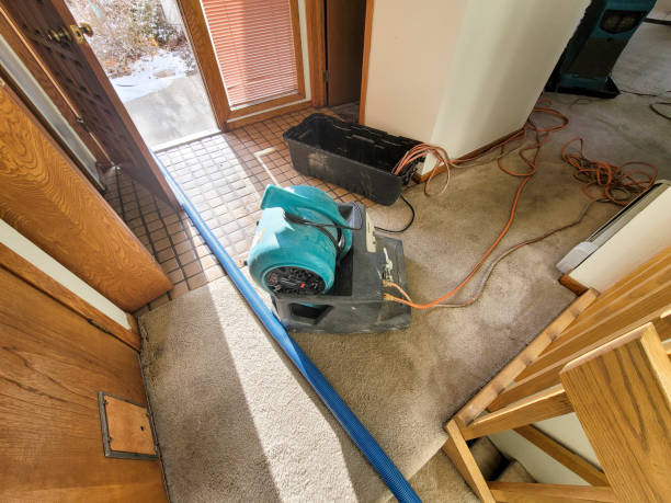 Best Sewage cleanup and water damage restoration  in Ball Pond, CT