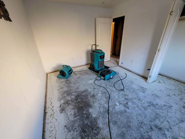  Ball Pond, CT Water damage restoration Pros
