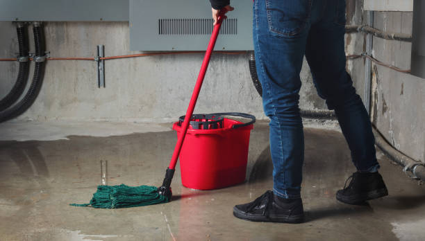 Best Water damage mitigation services  in Ball Pond, CT