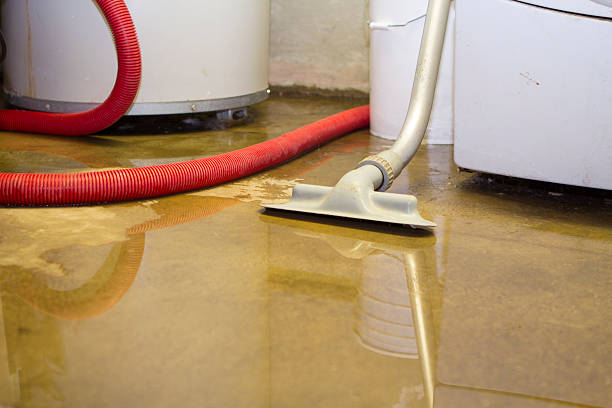 Best Mold removal after water damage  in Ball Pond, CT