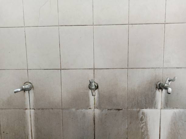 Best Carpet water damage restoration  in Ball Pond, CT